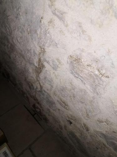 Espace porte chambre rdc salon_01